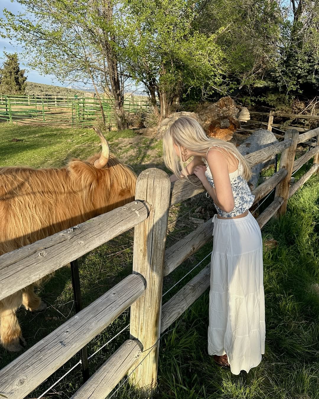 Spring break mode: ON \ud83c\udf34\u2600\ufe0f\n\nWhether you're traveling, working, or staying put, we hope you enjoy some well-deserved time to relax and reset. Travel safe, soak it up, and don't forget\u2014Uncommon Boise will be here waiting for you when you're back. \ud83d\udc9b\u2728