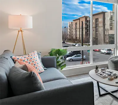 Student 4 Bedroom Apartments